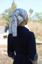סביון נחלים